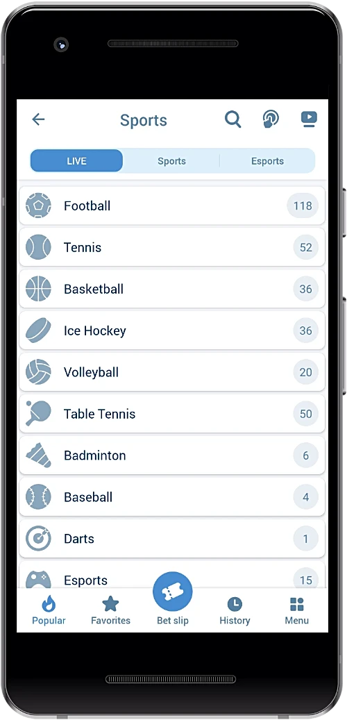 List of available sports disciplines for sports betting in the 1xBet app